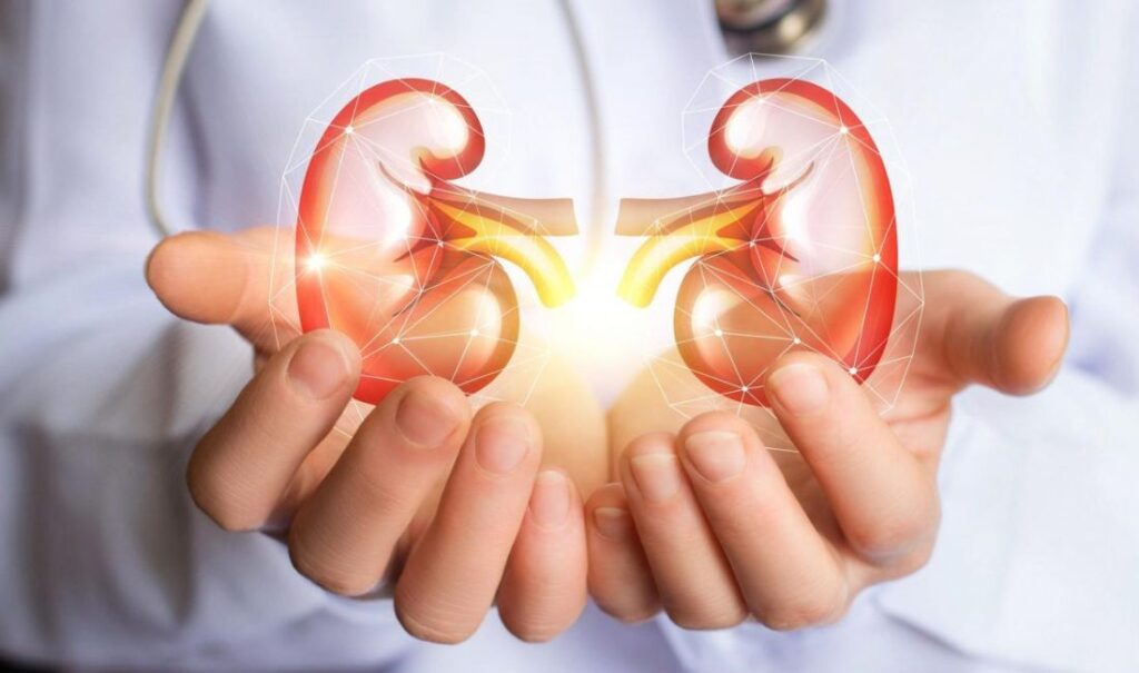 Nutritional Tips for Healthy Kidneys