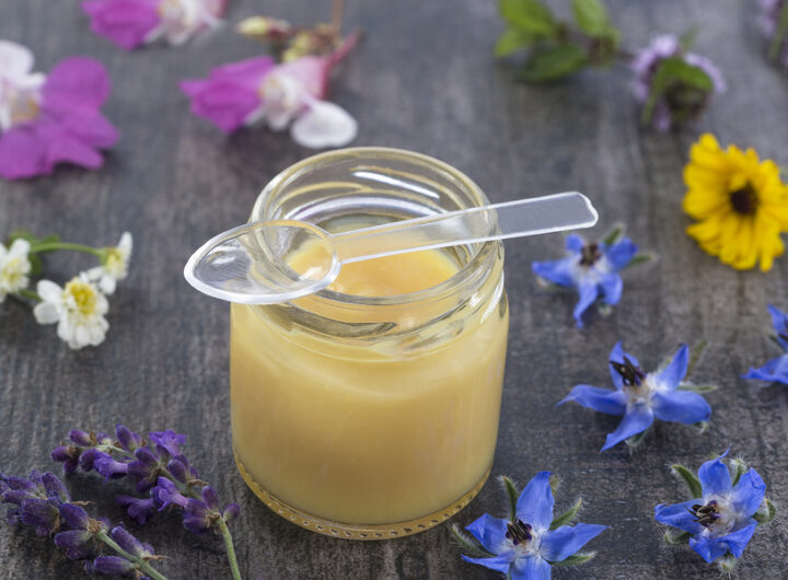 How Does Royal Jelly Benefit Your Health