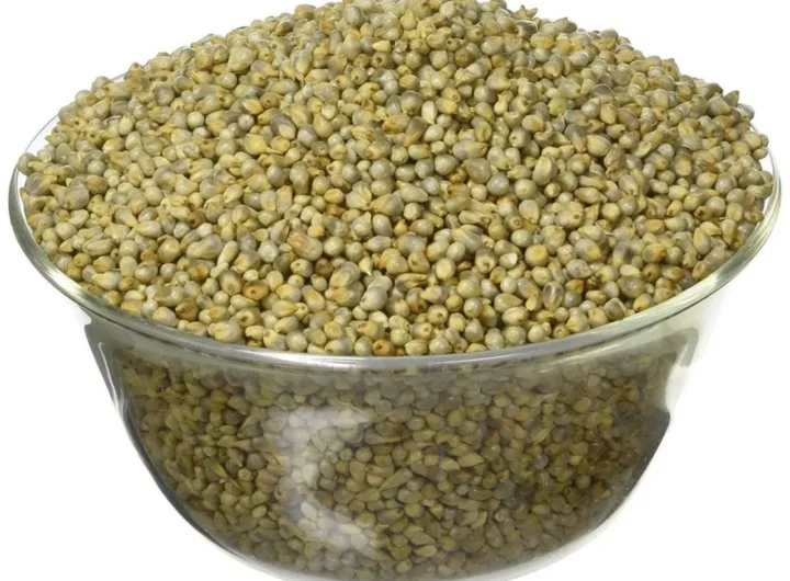 10 Medical advantages And Healthy benefit Of Green Millet