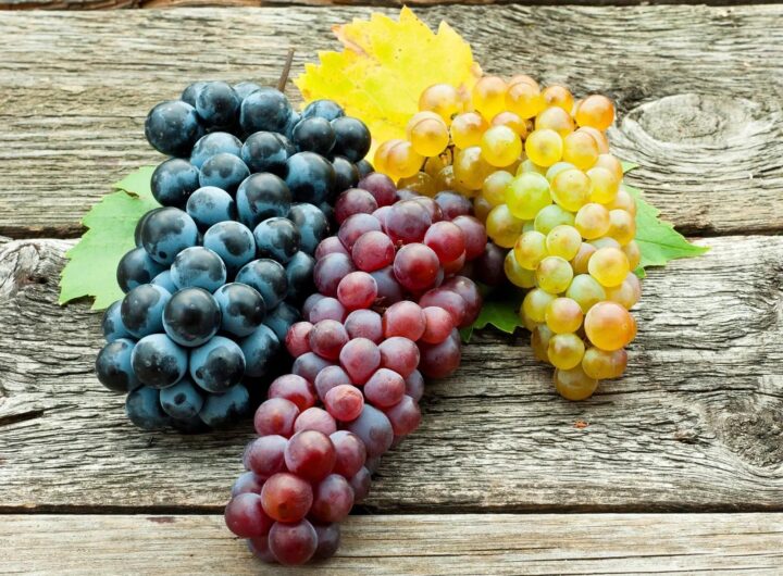 Many Health Benefits Are Associated With Grapes